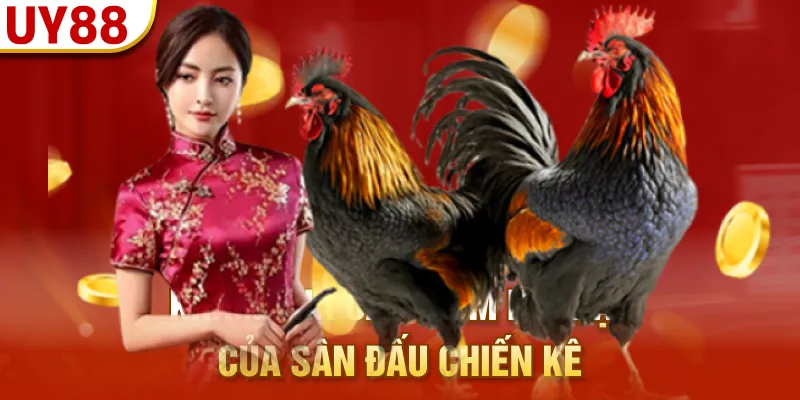 Khám phá các điểm nổi bật của sân đấu chiến kê
